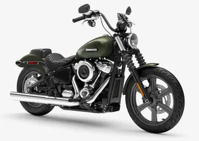 Harley-Davidson Street Bob 117 (2025 - 26) nuova