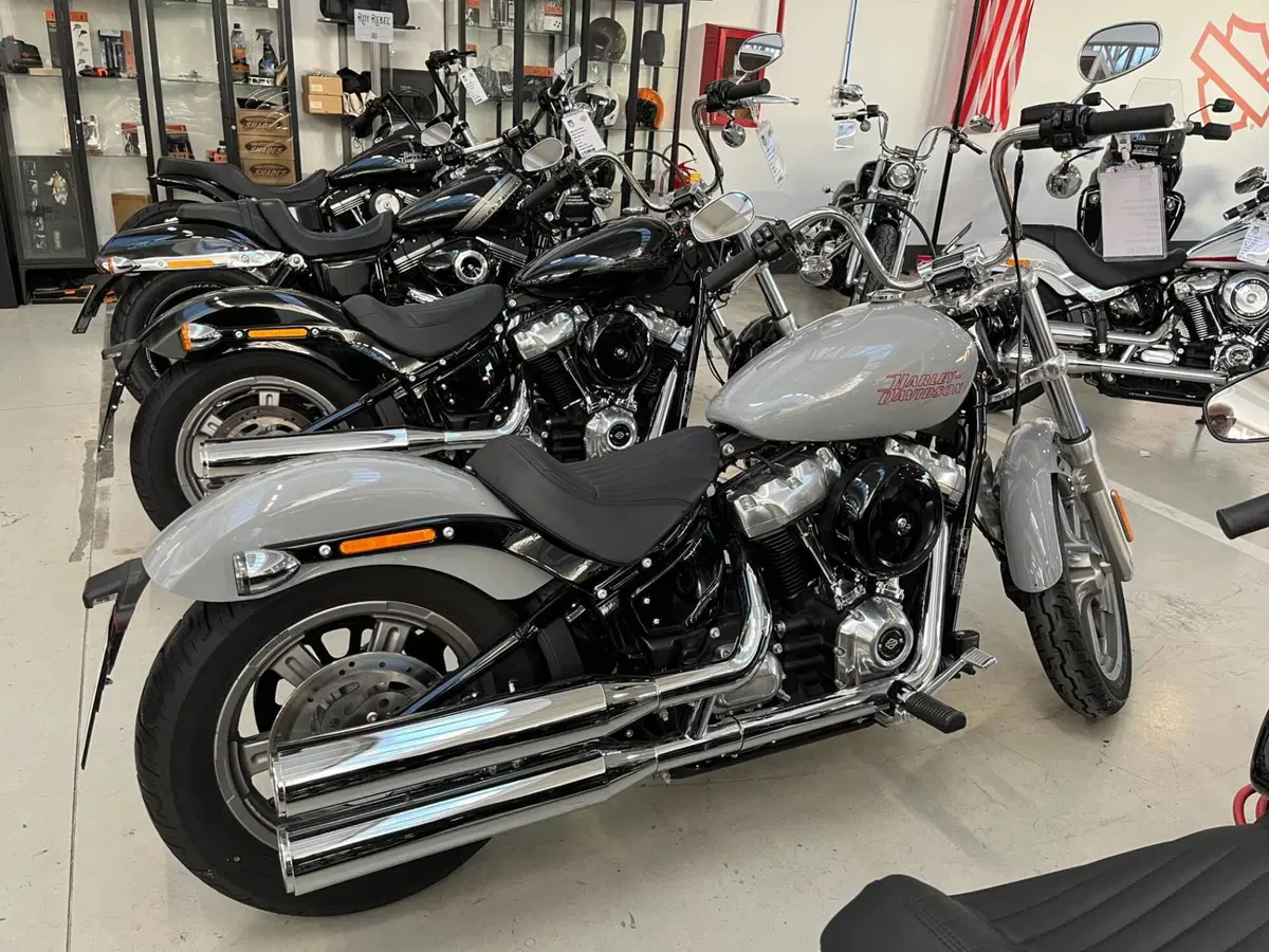 Harley-Davidson Softail Standard (2020) - FXST