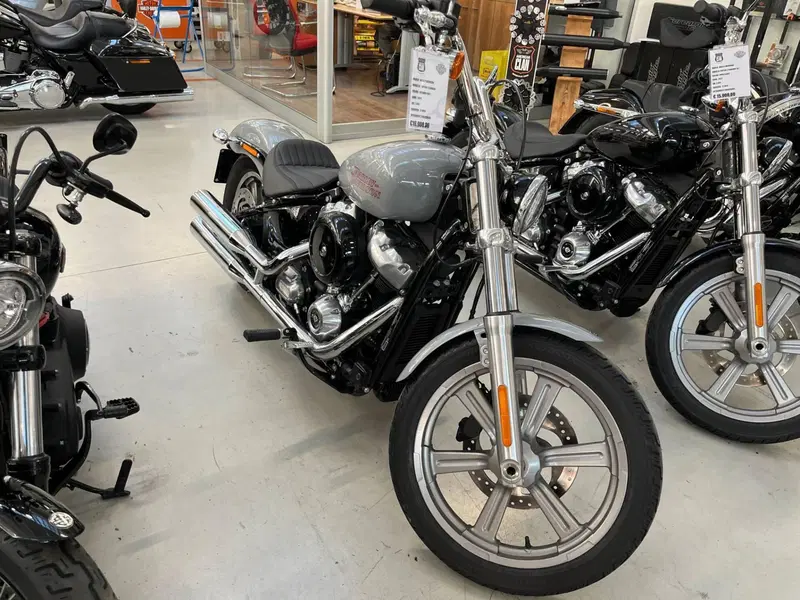 Harley-Davidson Softail Standard (2020) - FXST (2)