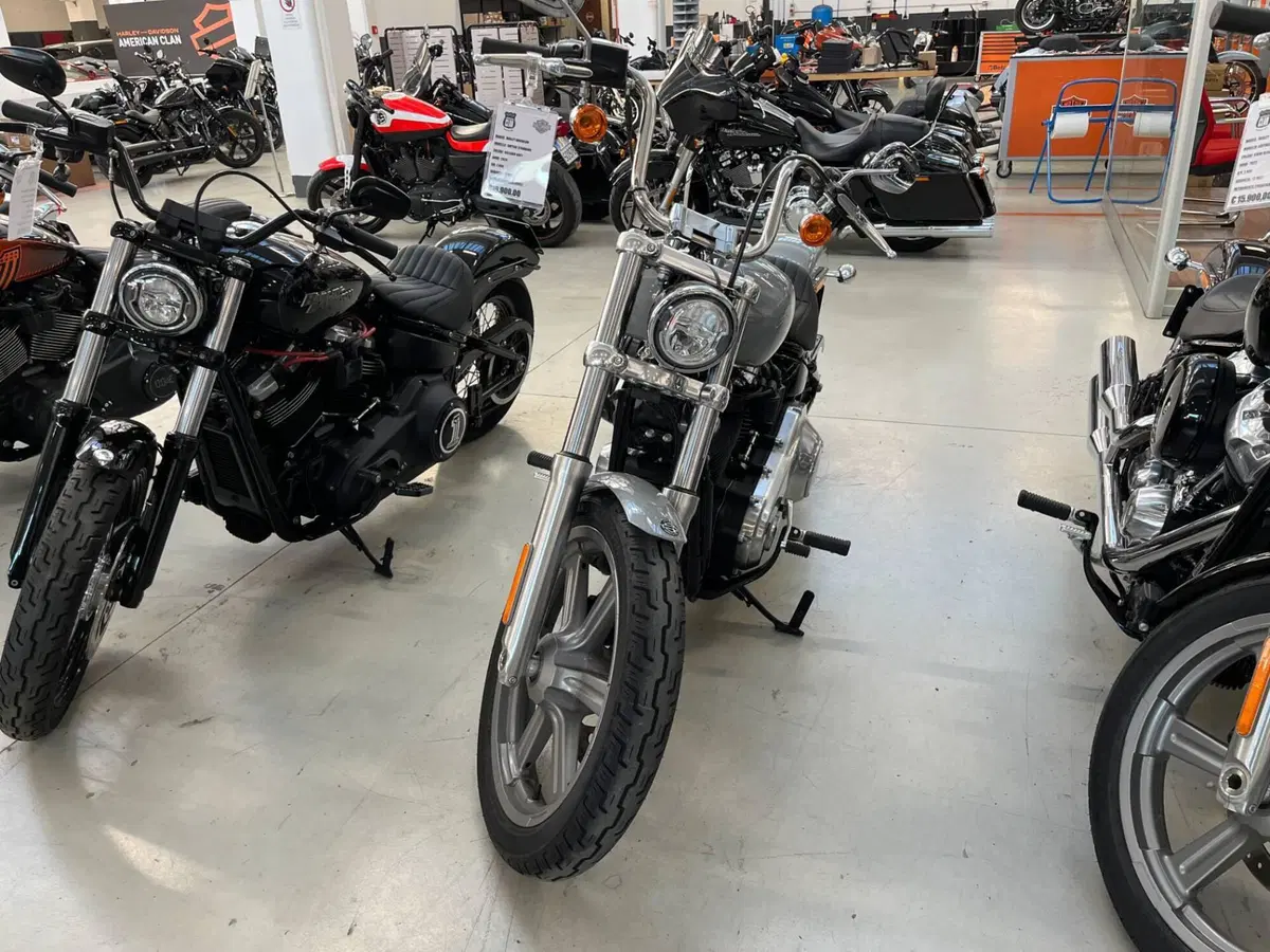 Harley-Davidson Softail Standard (2020) - FXST (4)