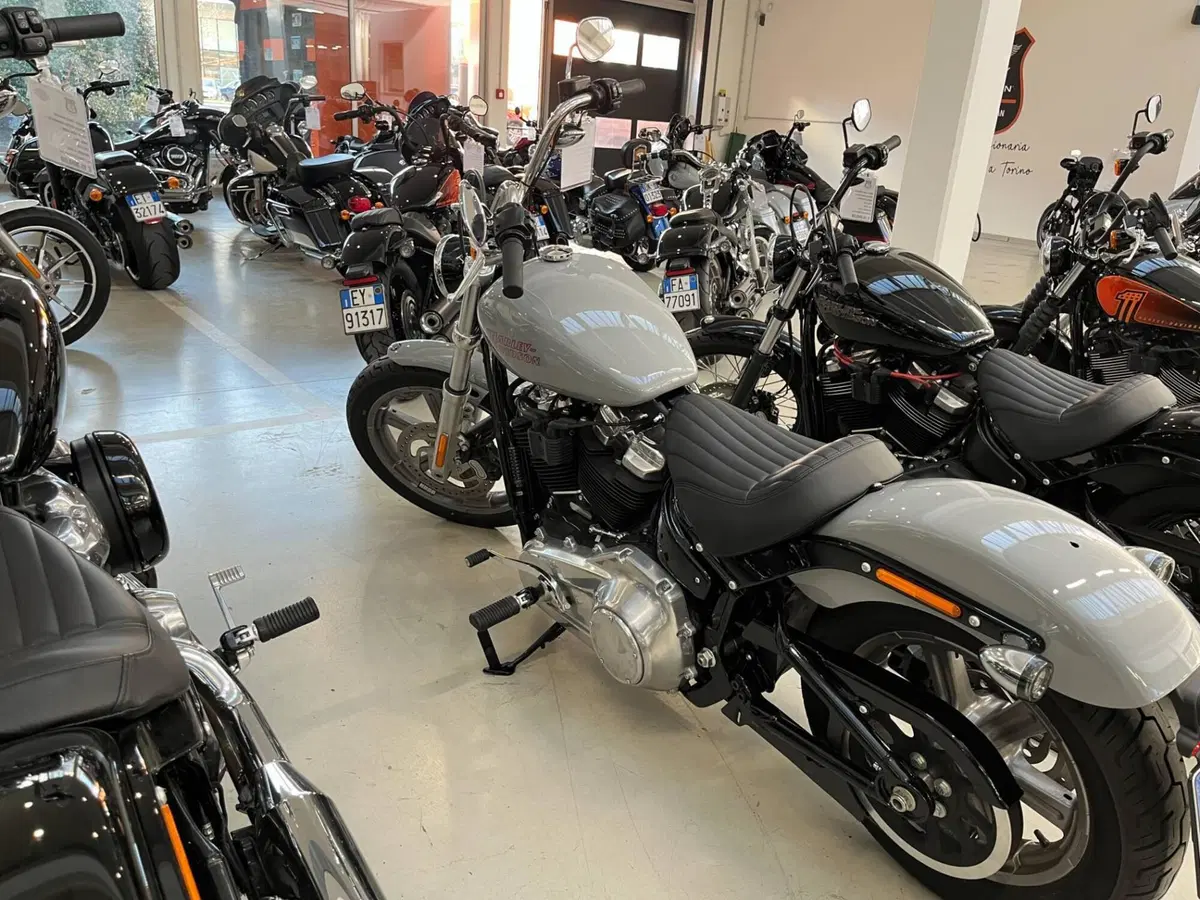 Harley-Davidson Softail Standard (2020) - FXST (6)