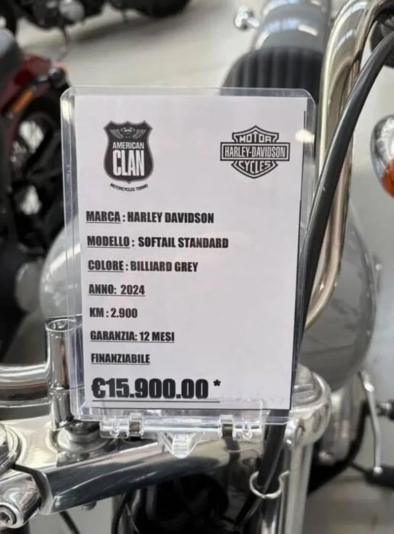 Harley-Davidson Softail Standard (2020) - FXST (3)