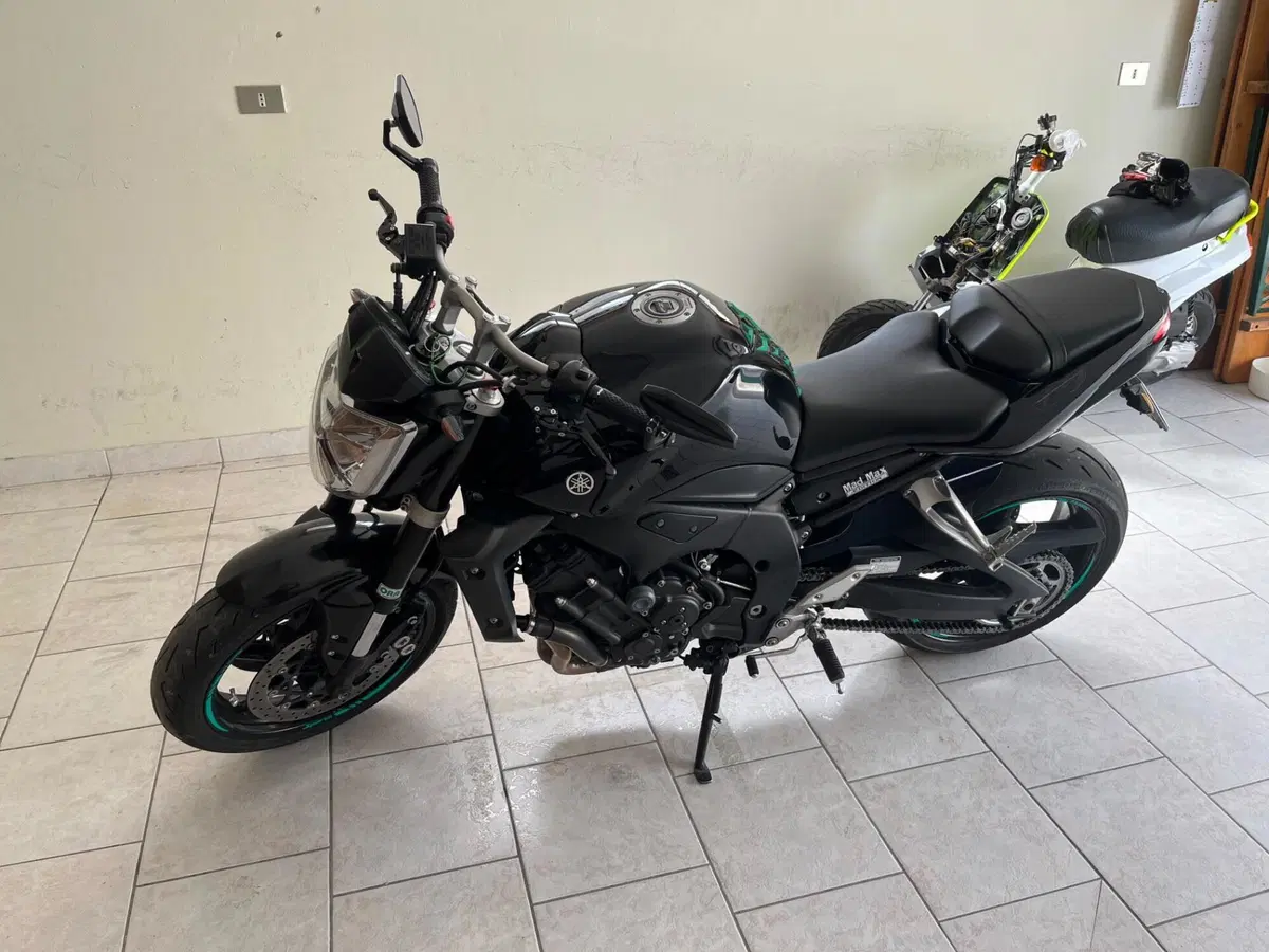 Yamaha FZ1 (2006 - 16) (3)