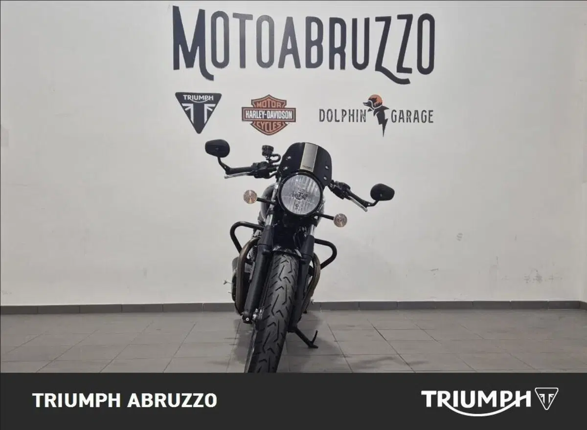 Triumph Street Cup 900 (2017 - 19) (9)