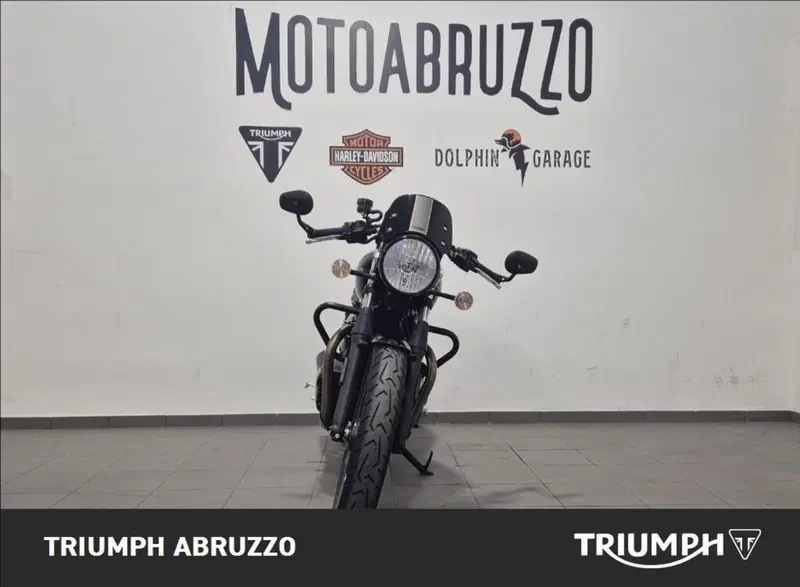 Triumph Street Cup 900 (2017 - 19) (9)