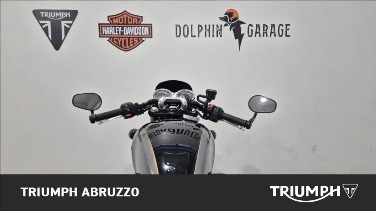 Triumph Street Cup 900 (2017 - 19) (2)