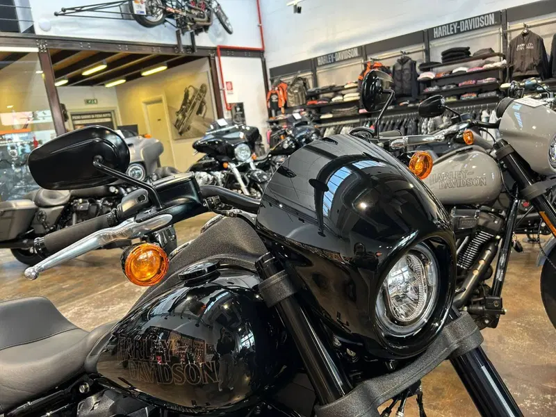 Harley-Davidson 114 Low Rider S (2020) - FXLRS (2)