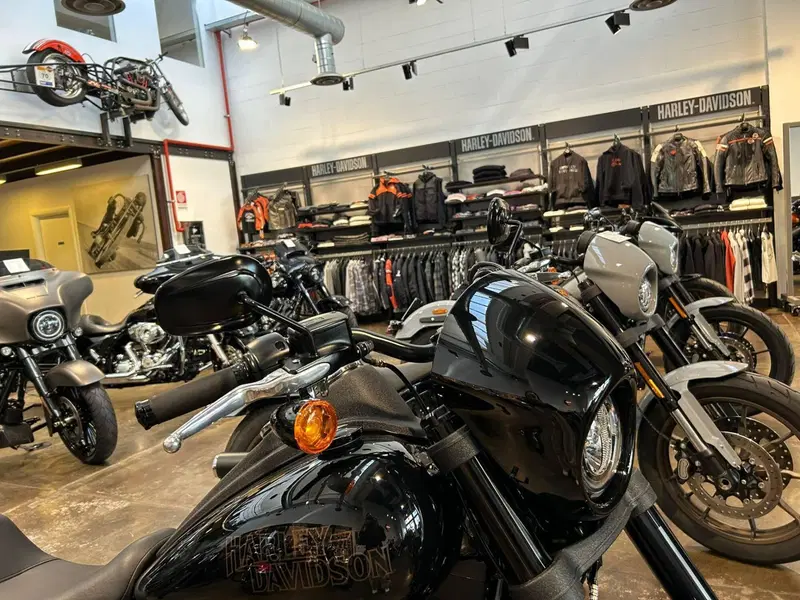 Harley-Davidson 114 Low Rider S (2020) - FXLRS (3)
