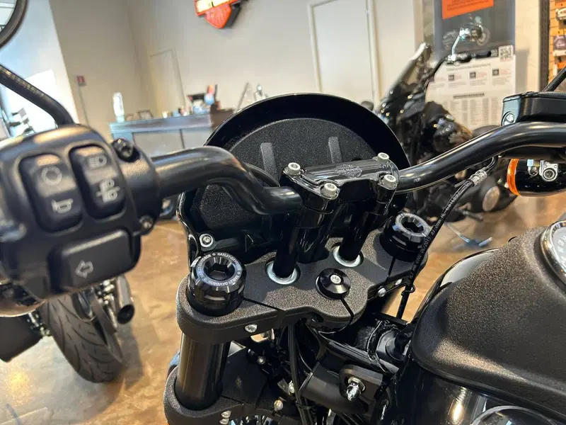 Harley-Davidson 114 Low Rider S (2020) - FXLRS (4)