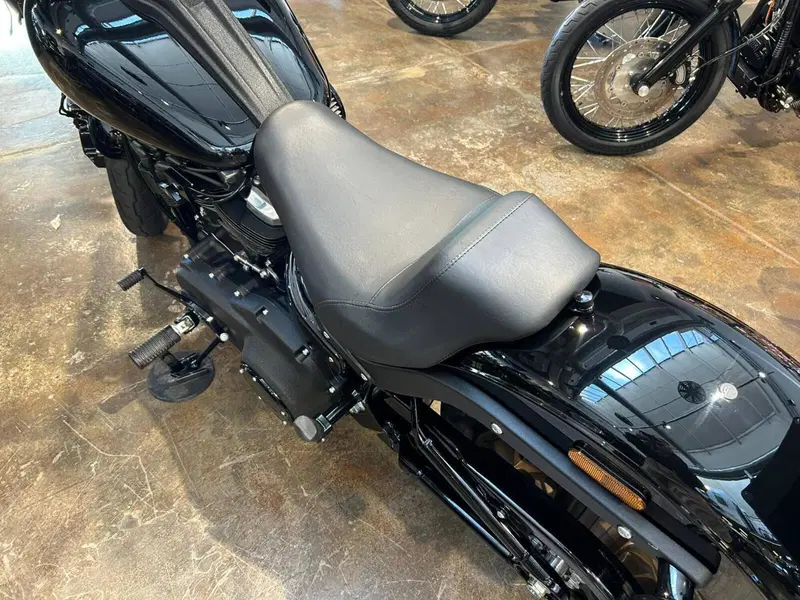 Harley-Davidson 114 Low Rider S (2020) - FXLRS (7)