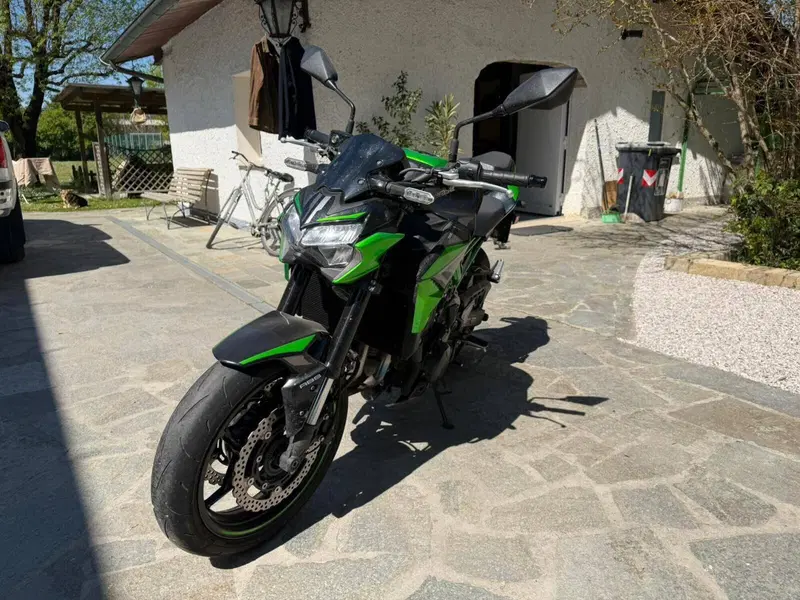 Kawasaki Z 900 (2021 - 24)