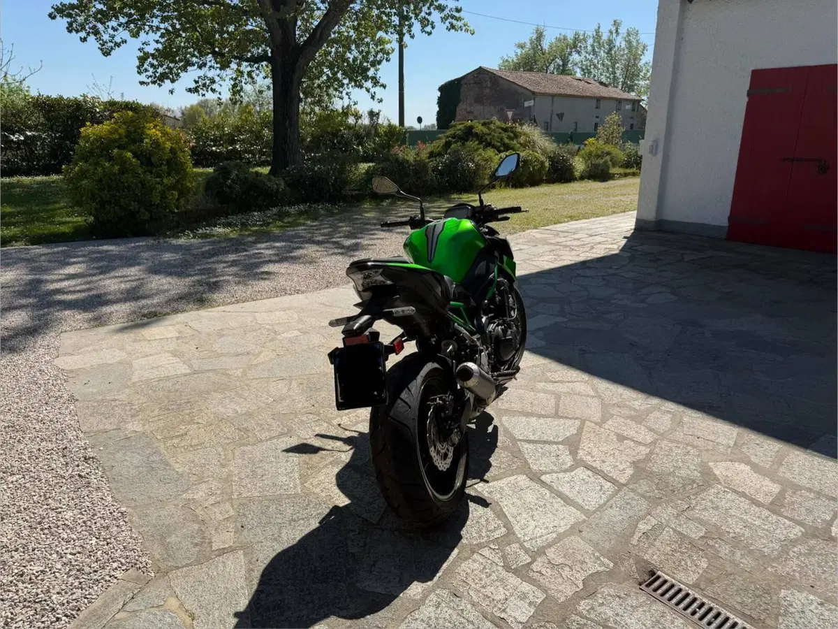 Kawasaki Z 900 (2021 - 24) (2)