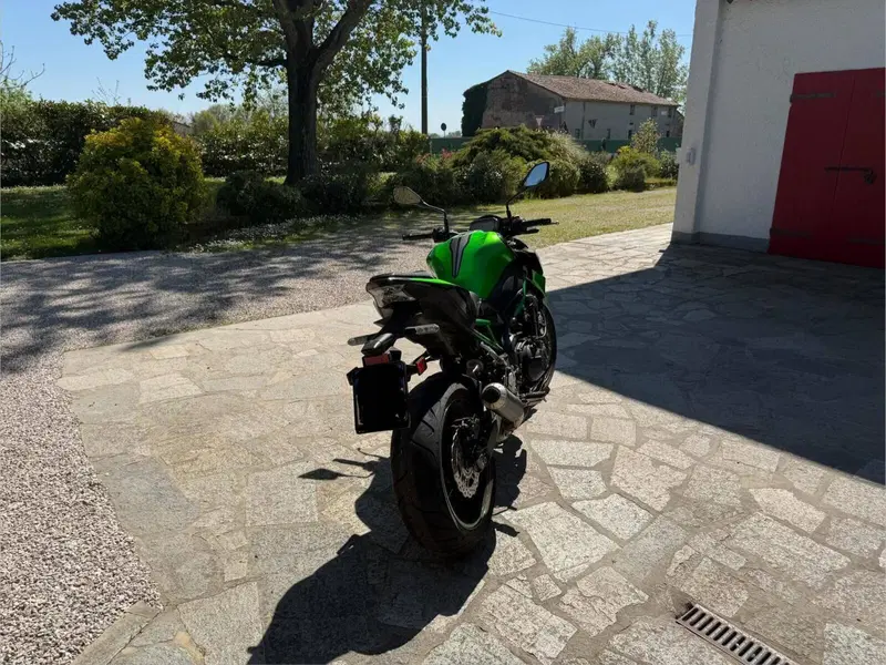 Kawasaki Z 900 (2021 - 24) (2)