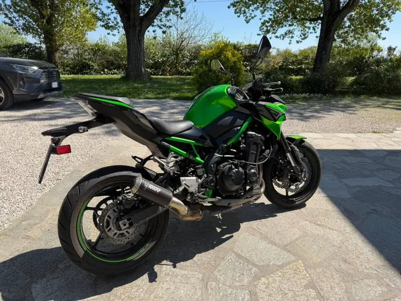 Kawasaki Z 900 (2021 - 24) (4)