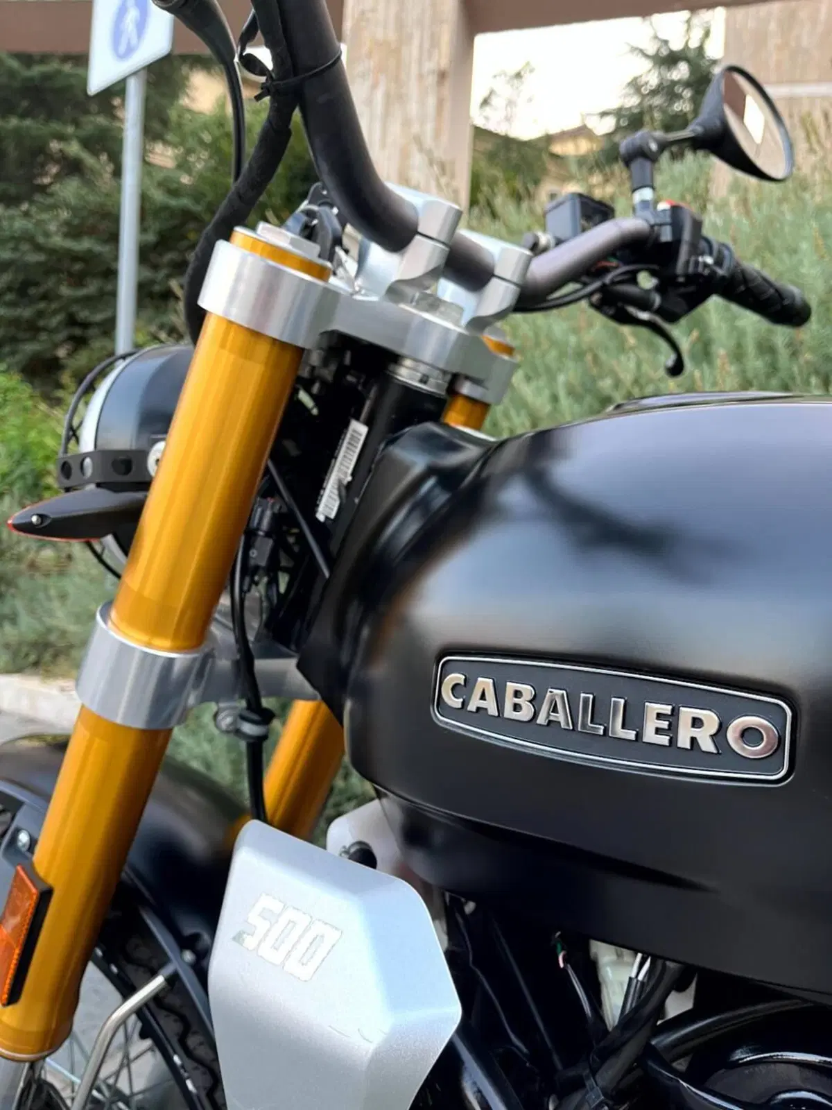 Fantic Motor Caballero 500 Flat Track (2018 - 21) (20)