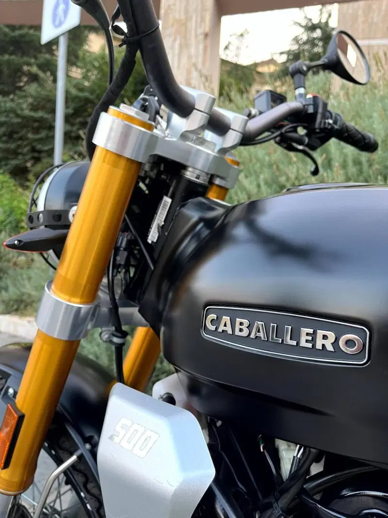 Fantic Motor Caballero 500 Flat Track (2018 - 21) (20)