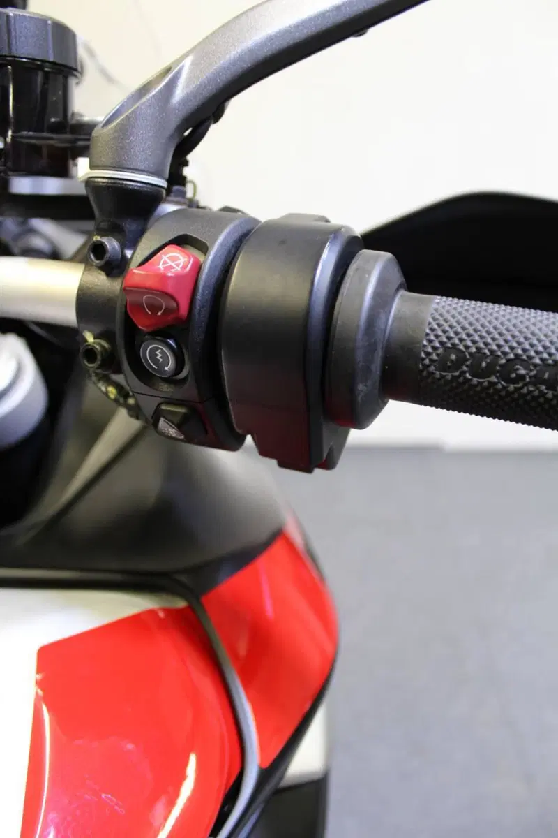 Ducati Multistrada V4 Rally (2023 - 25) (11)