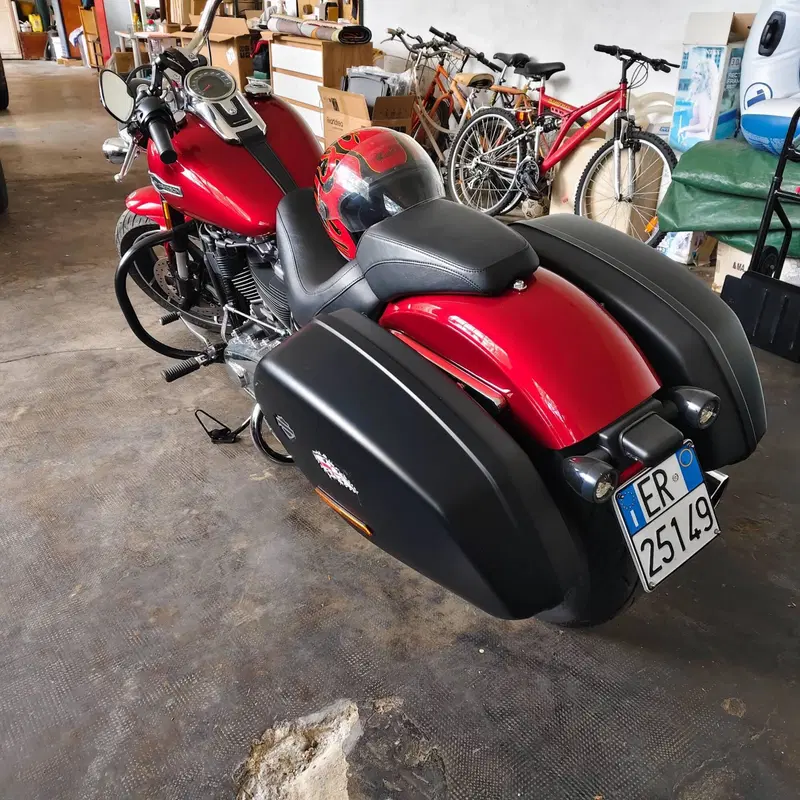 Harley-Davidson Sport Glide (2021 - 25) (2)