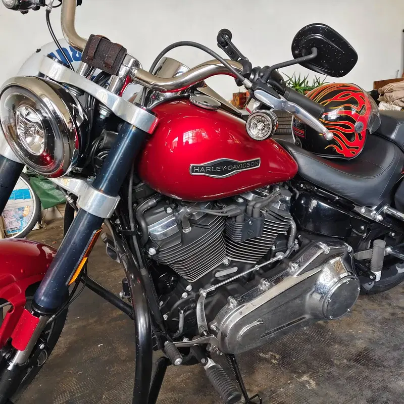 Harley-Davidson Sport Glide (2021 - 25) (3)