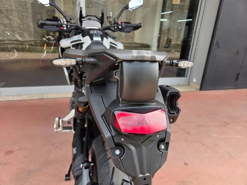 Triumph Tiger 1200 Alpine Special Edition (2026) (10)