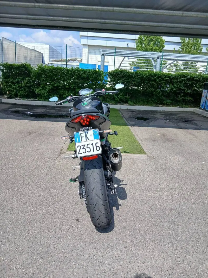 Kawasaki Z 500 (2024 - 26) (3)