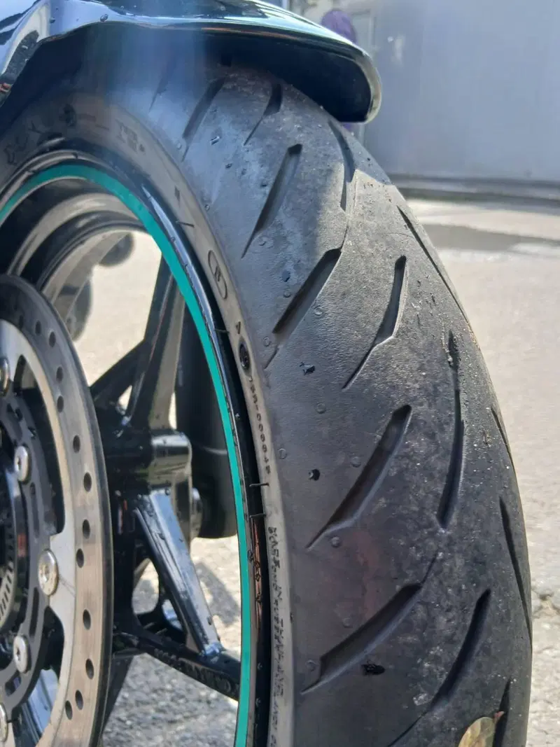 Kawasaki Z 500 (2024 - 26) (13)