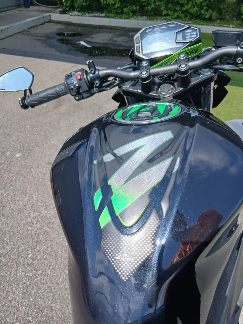 Kawasaki Z 500 (2024 - 26) (15)