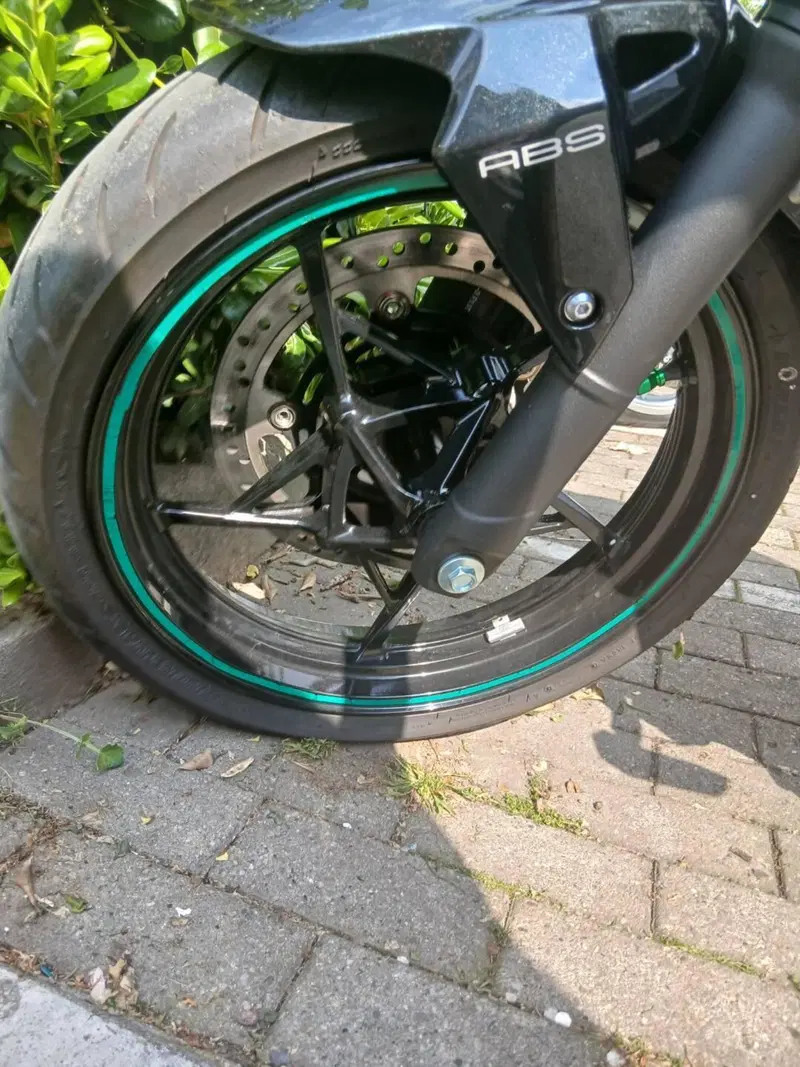 Kawasaki Z 500 (2024 - 26) (16)