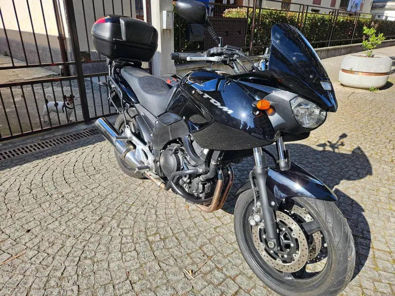 Yamaha TDM 900 (2002 - 14) (4)