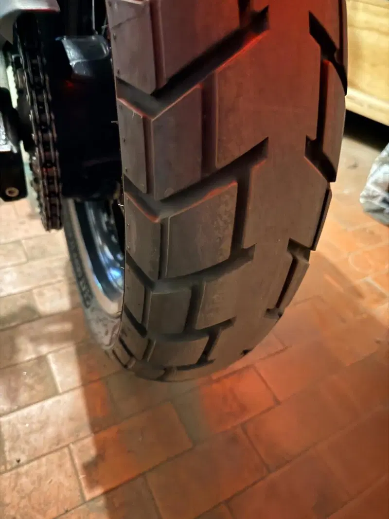 Royal Enfield Guerrilla 450 (2024 - 26) (7)