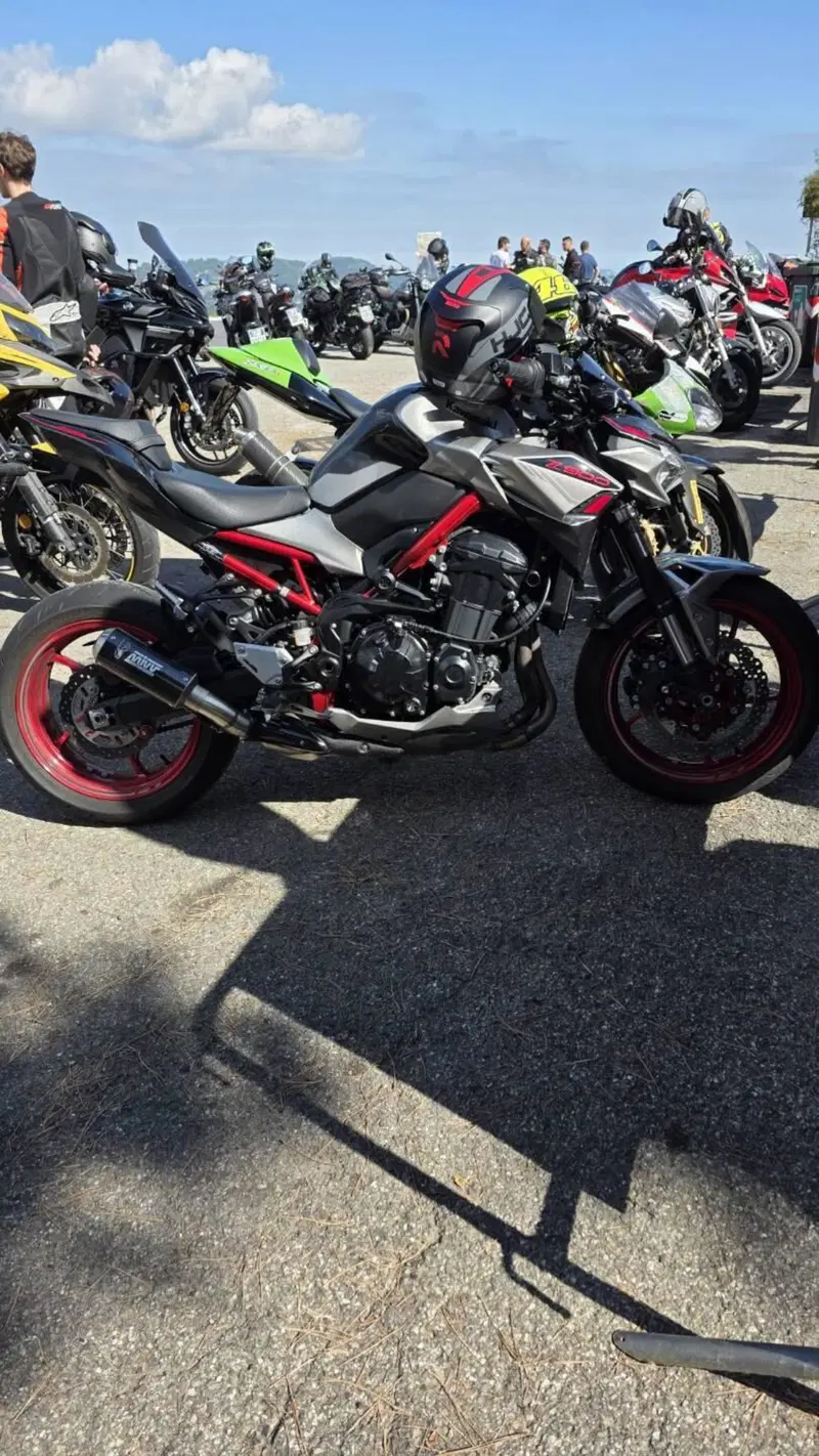 Kawasaki Z 900 (2021 - 24) (2)