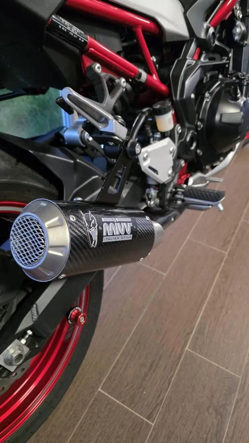 Kawasaki Z 900 (2021 - 24) (4)