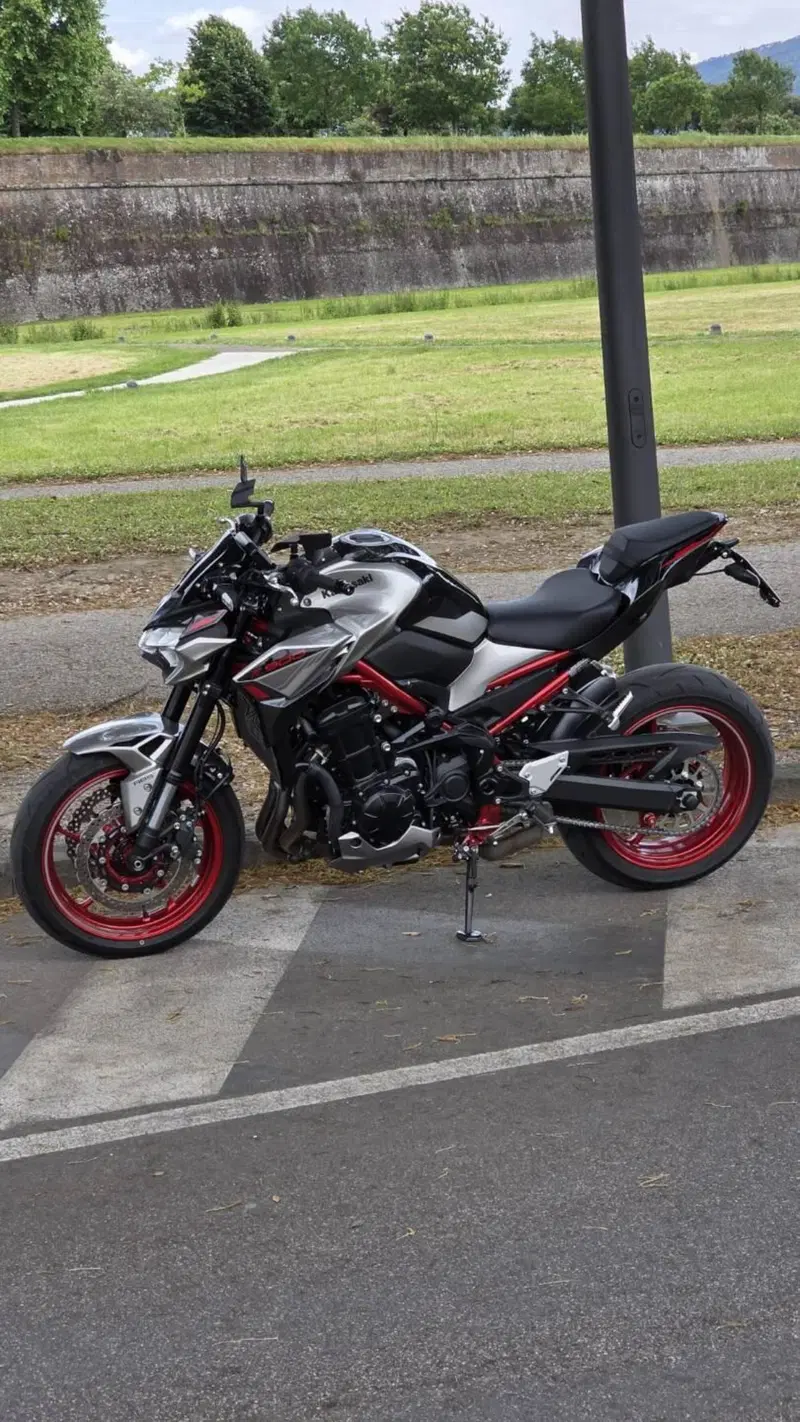 Kawasaki Z 900 (2021 - 24) (5)