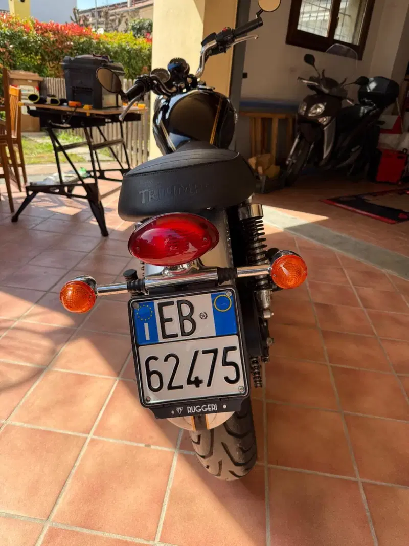 Triumph Bonneville T100 SE (2014) (2)