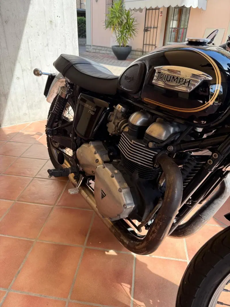 Triumph Bonneville T100 SE (2014) (5)