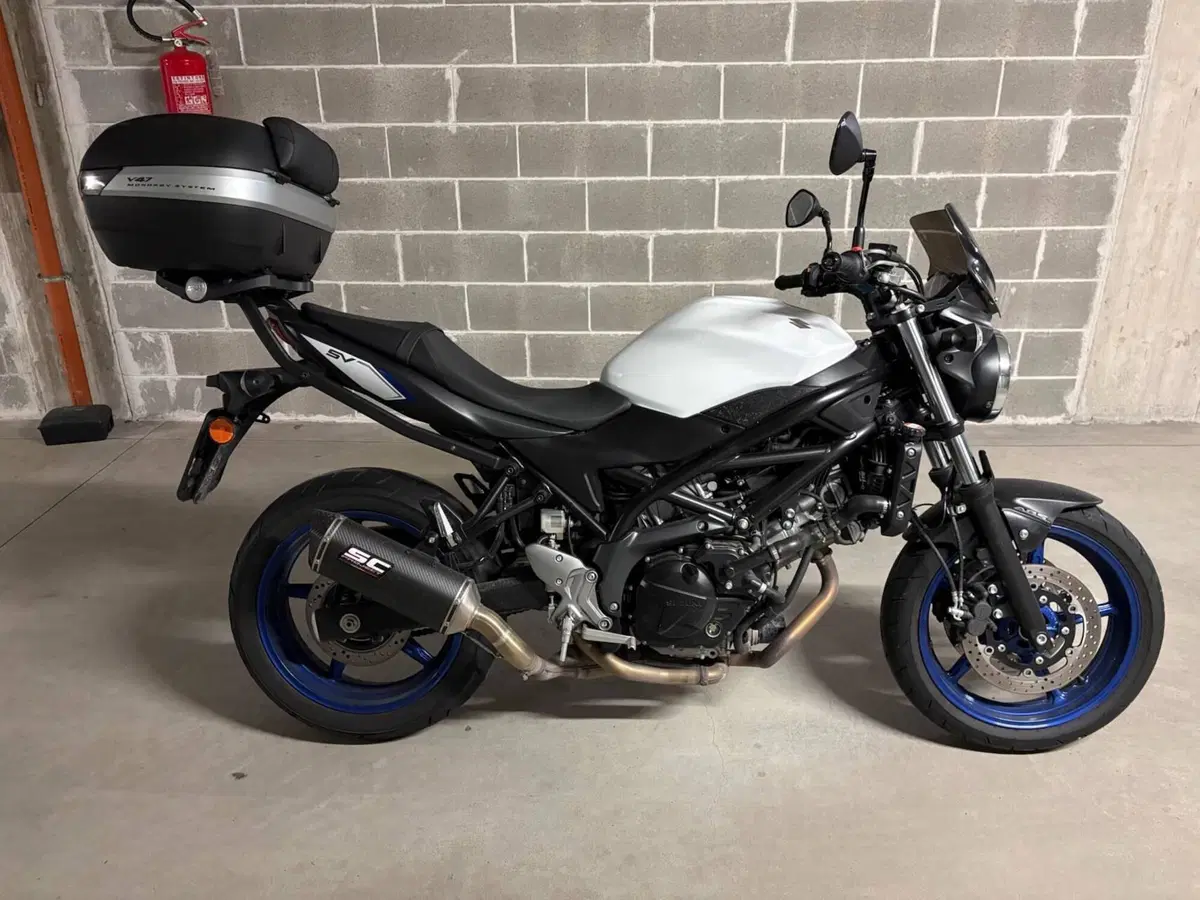 Suzuki SV 650 (2016 - 20) (9)