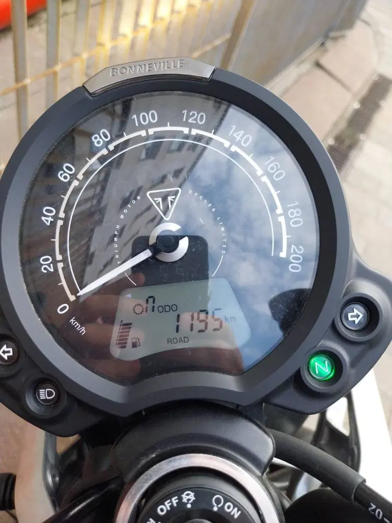 Triumph Speed Twin 900 (2023 - 24) (4)