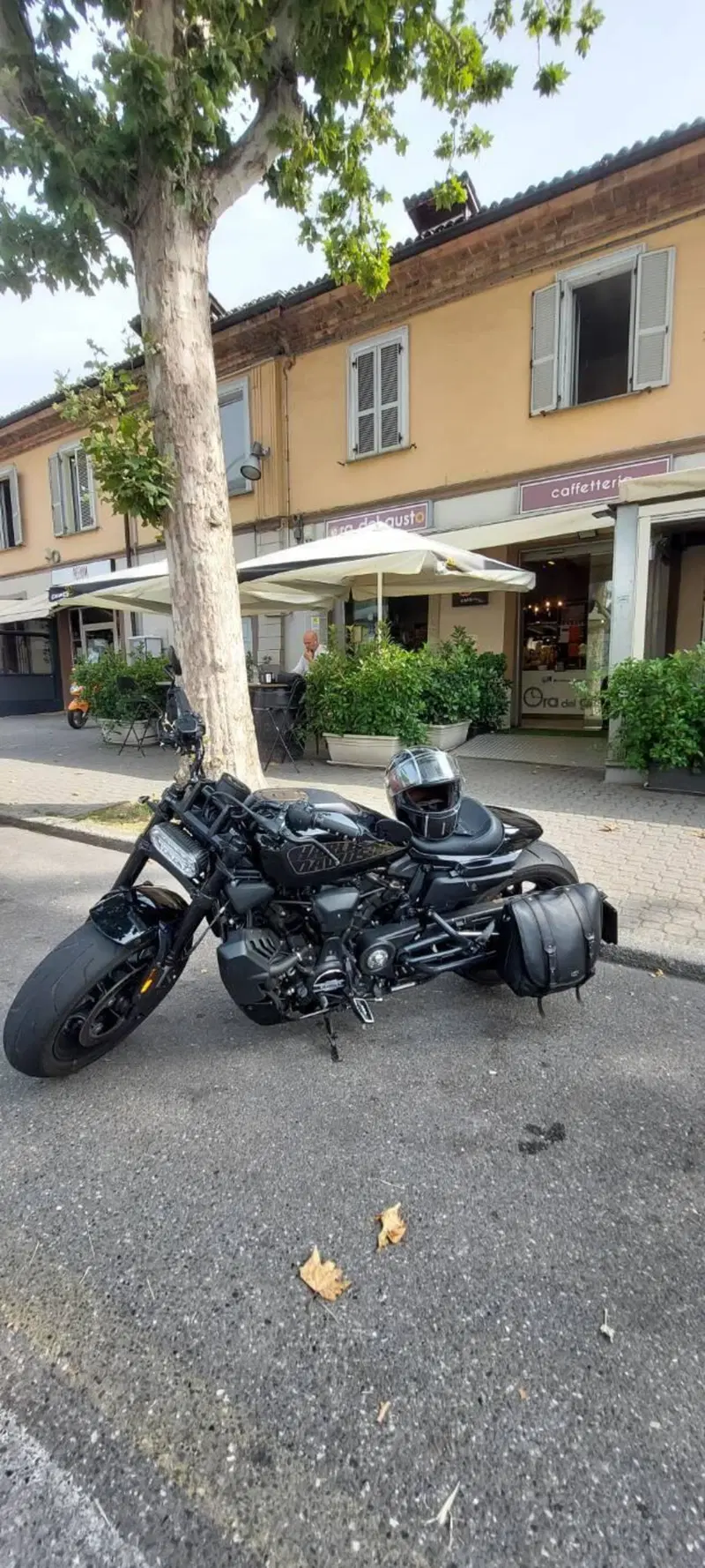 Harley-Davidson Sportster S (2022 - 24)