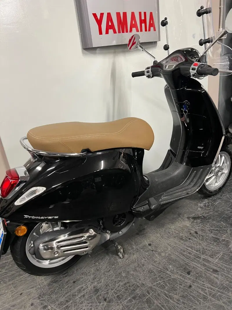 Vespa Primavera 125 (2021 - 23) (4)