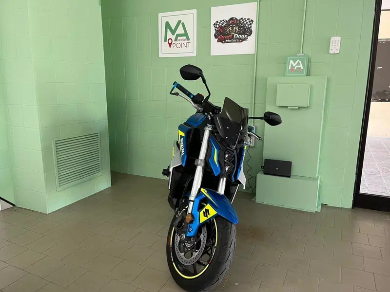 Suzuki GSX-S950 (2021 - 23) (3)