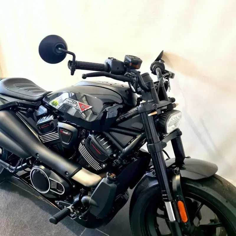 Harley-Davidson Sportster S (2025 - 26) (15)