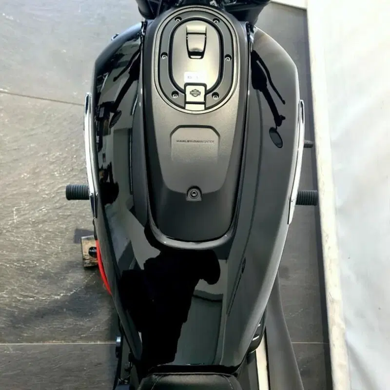 Harley-Davidson Sportster S (2025 - 26) (6)