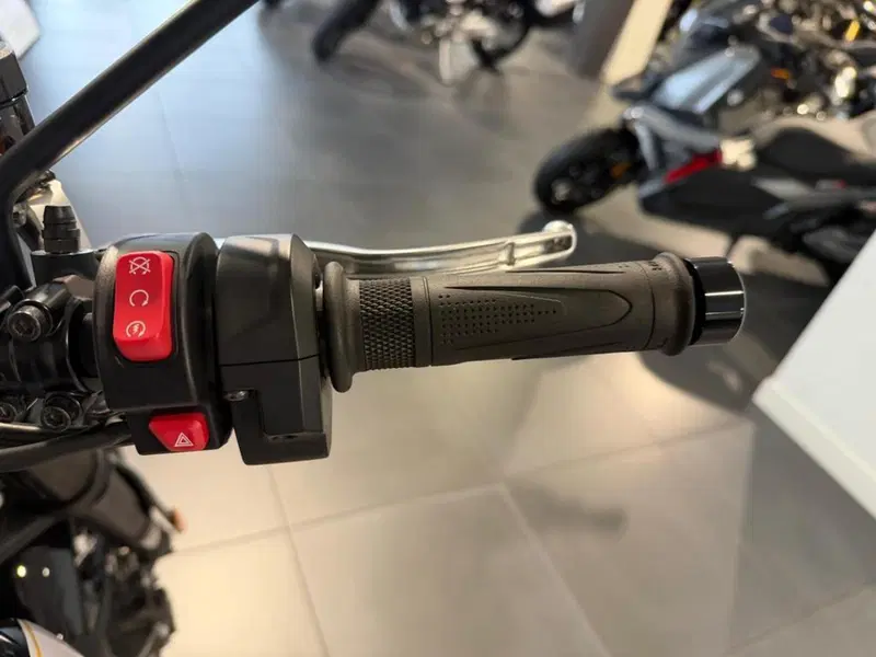 Triumph Scrambler 1200 X (2024 - 26) (13)