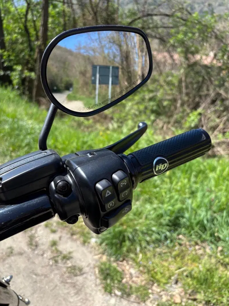 Harley-Davidson 114 Road King Special (2019 - 20) - FLHR (13)