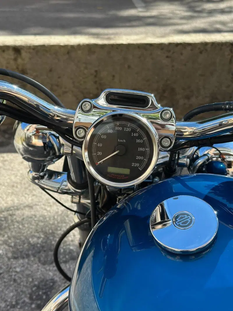 Harley-Davidson 883 Custom (2001 - 05) - XL 53C (6)