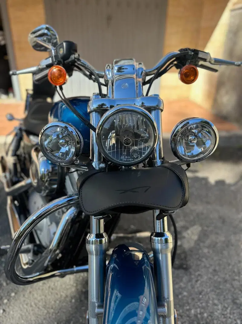 Harley-Davidson 883 Custom (2001 - 05) - XL 53C (7)