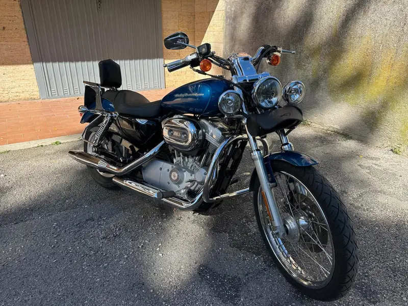 Harley-Davidson 883 Custom (2001 - 05) - XL 53C (8)