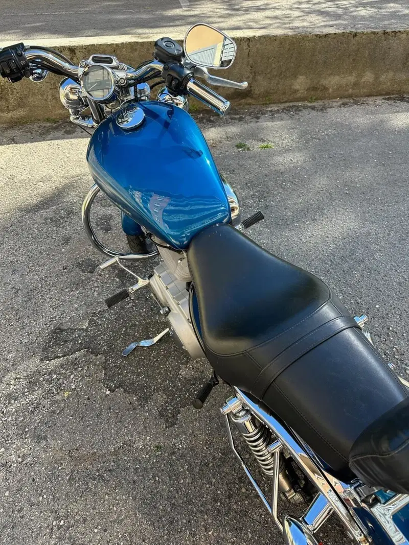Harley-Davidson 883 Custom (2001 - 05) - XL 53C (9)