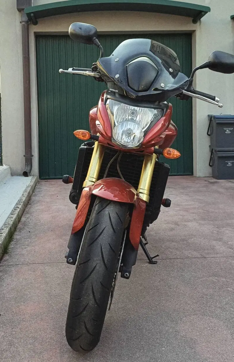 Honda Hornet 600 (2007 - 10) (2)