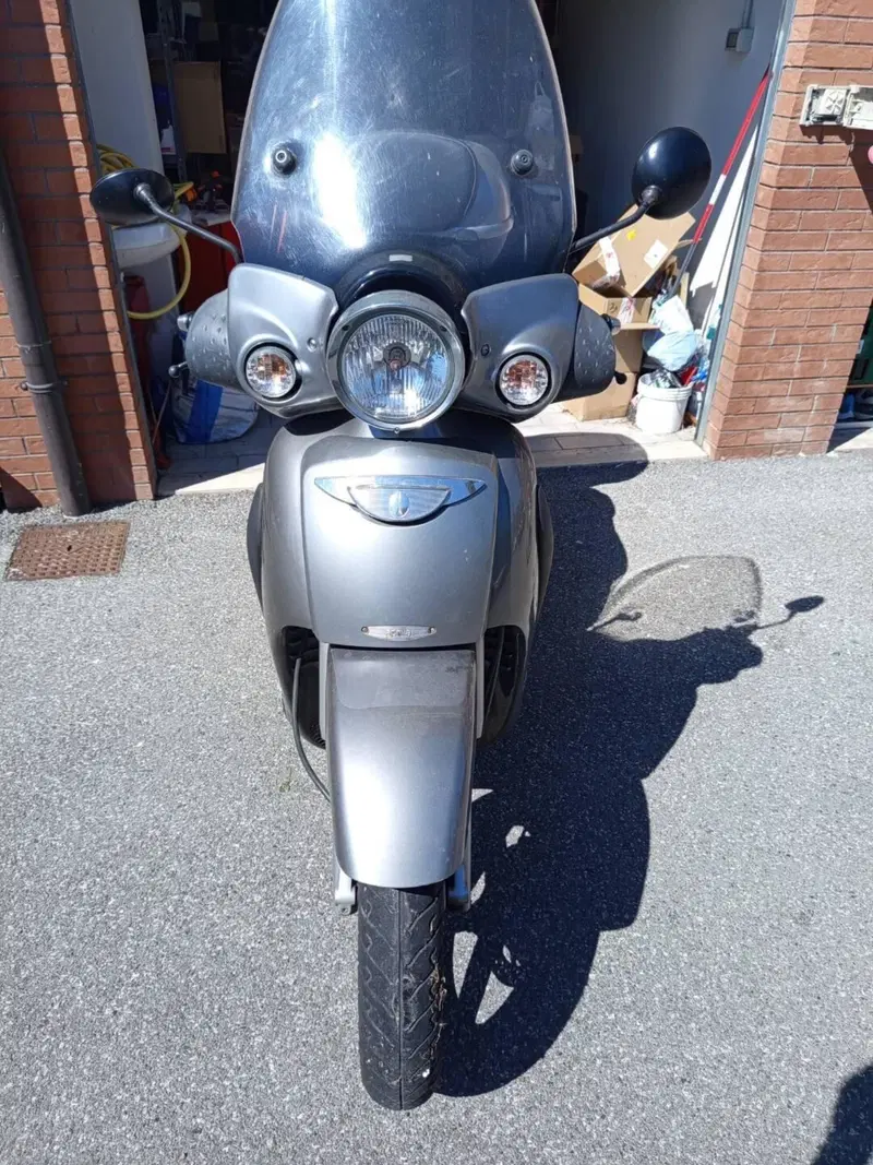 Aprilia Scarabeo 250 GT (2004 - 07)